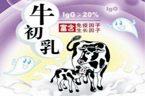 牛初乳十大品牌 十大牛初乳品牌排行榜 牛初乳哪個品牌好？