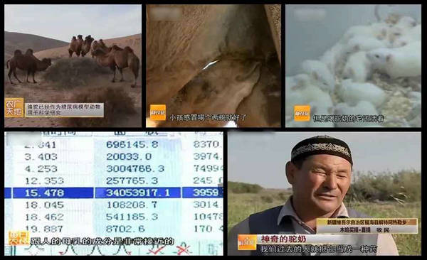 中國民族品牌 中國民族品牌
