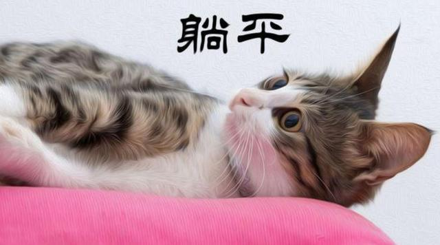 躺平，躺平是什么意思