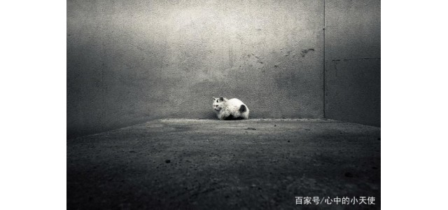 關(guān)于現(xiàn)代的「未來自閉癥」，專家怎么說？