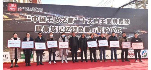 南莊鎮(zhèn)桑坡村十大自主品牌榮耀出爐！